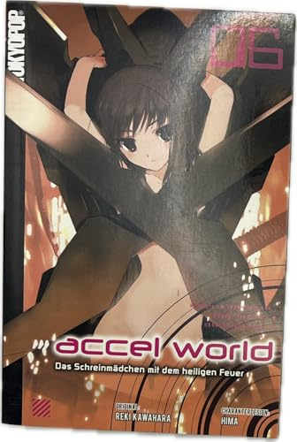 Accel World - Novel 06