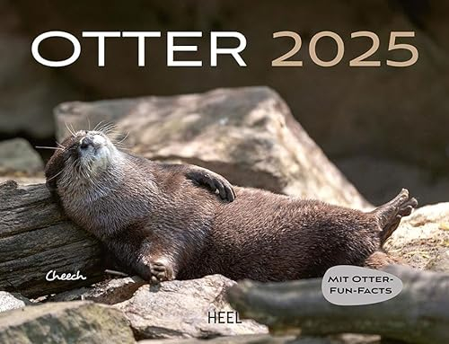 Otter Kalender 2025 Wandkalender: Mit spannenden Otter-Fun-Facts. Eintragkalender 2025