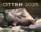 Otter Kalender 2025 Wandkalender: Mit spannenden Otter-Fun-Facts. Eintragkalender 2025