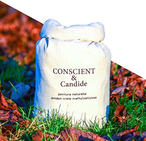 Peinture Blanche Naturelle Hypoallergénique & Inodore pour Murs - 5kg/70m² - Conscient & Candide