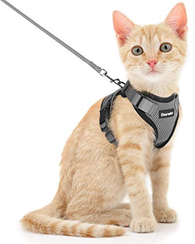 Dooradar Katzengeschirr mit Leine Ausbruchsicher, Katzenleine mit Geschirr für Katzen Mittelgroße, Reflektierend, Katzengeschirr Große Katze, S, Grau