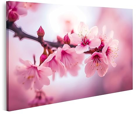 islandburner Prime Bild auf Leinwand Kirschblüte Bilder Wandbilder Poster