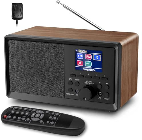 QOQIDUN DAB Radio Mains Powered - with 30 Preset Stations, Kitchen FM Radio, Portable DAB Digital Radio with Sleep Timer Function, Dual Alarm, Clear LCD Display and 3.5mm AUX Jack, Support USB Disk