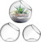 Terrarium pour plantes : 3 pièces en verre pour terrarium - Pour plantes succulentes - Vase en verre - Pot de fleurs - Pot de fleurs en verre transparent - Globe Micro Landschaft