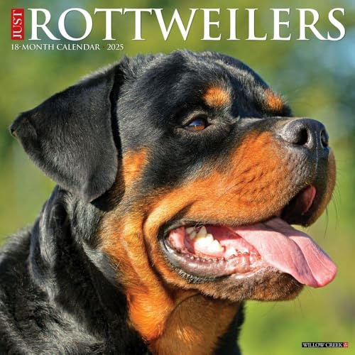 Rottweilers 2026 12 X 12 Wall Calendar