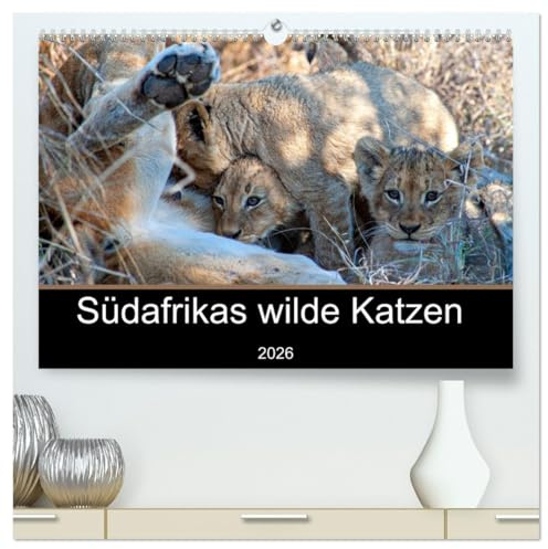 Südafrikas wilde Katzen (hochwertiger Premium Wandkalender 2026 DIN A2 quer), Kunstdruck in Hochglanz: Fotografien von den Raubkatzen in Südafrika (CALVENDO Tiere)