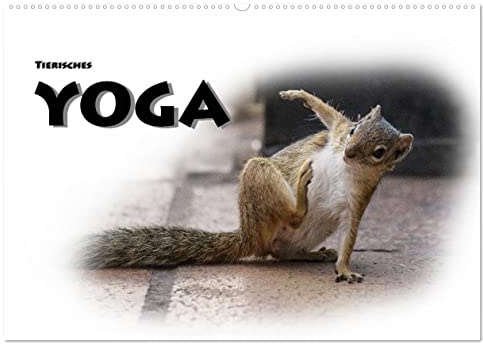 Tierisches Yoga (Wandkalender 2026 DIN A2 quer), CALVENDO Monatskalender: Lustige Verrenkungen in der Tierwelt, schön, niedlich einfachh nett anzusehen (CALVENDO Tiere)
