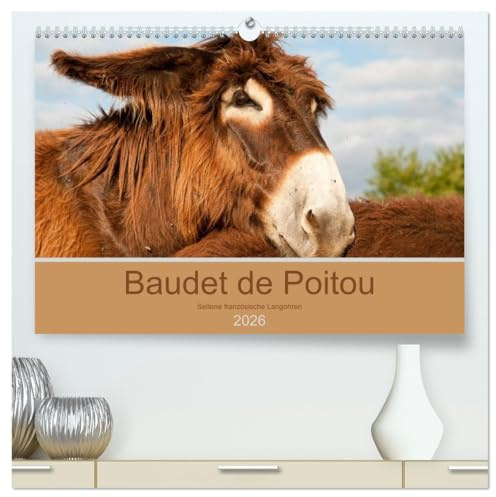 Baudet de Poitou - Seltene französische Langohren (hochwertiger Premium Wandkalender 2026 DIN A2 quer), Kunstdruck in Hochglanz: Wunderschöne Fotografien seltener Esel (CALVENDO Tiere)