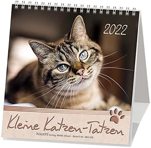 Kleine Katzen-Tatzen 2022: Postkarten-Kalender