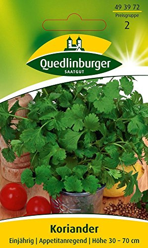 Kräutersamen - Koriander Thüringer von Quedlinburger Saatgut