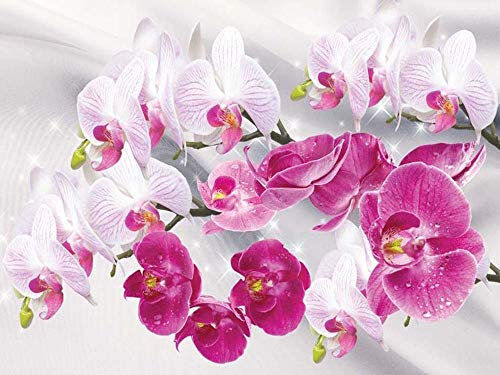 GEGEMEI Diamond Painting Set Orchidee Diamant Malerei 3D Stickerei Kreuzstich Mosaik Malerei Wohnkultur 40 X 50Cm