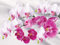 GEGEMEI Diamond Painting Set Orchidee Diamant Malerei 3D Stickerei Kreuzstich Mosaik Malerei Wohnkultur 40 X 50Cm