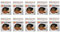 Tassimo LOr Dosettes de café classique Espresso - 10 paquets (160 boissons)