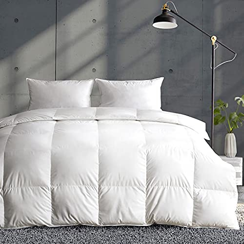 APSMILE Daunendecke 220x240 Ganzjahresdecke 100% Baumwolle Bettdecke 240x220 mit Gänsedaunen und Federn, Federbettdecke Dicke Füllung ohne Lebendrupf, Übergangsdecke für Doppelbett, Weiß