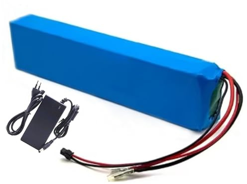 Batterie 36 V 100 Ah pour Vélo Électrique, Pack Batterie Li-ION 10S3P avec Chargeur, Batterie pour Scooter Électrique avec Protection BMS
