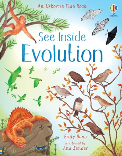 Usborne Publishing Ltd