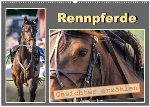 Rennpferde - Gesichter erzählen (Wandkalender 2026 DIN A2 quer), CALVENDO Monatskalender: Anmutige Portraits edler Vollblüter auf der Rennbahn (CALVENDO Tiere)