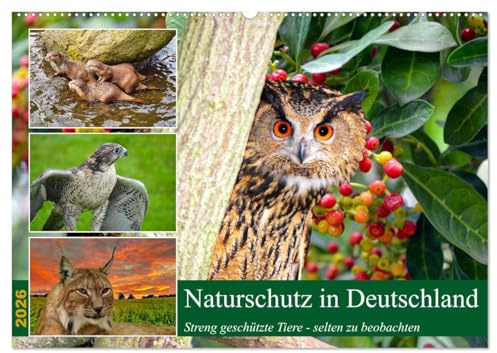 Naturschutz in Deutschland (Wandkalender 2026 DIN A2 quer), CALVENDO Monatskalender: Streng geschütze Tiere - nur noch selten zu beobachten (CALVENDO Tiere)