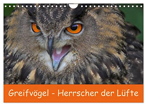 Greifvögel - Herrscher der Lüfte (Wandkalender 2026 DIN A4 quer), CALVENDO Monatskalender: Wundervolle Portrais von Greifvögeln (CALVENDO Tiere)