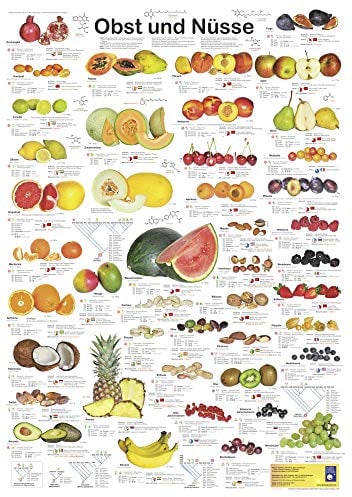 Obst und Nüsse (Planet-Poster-Box)