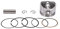 WOOSTAR 54mm Kit de Segments de Piston Remplacement pour 125cc SSR BMS NST JCL Taotao Baja Roketa Kazuma Sunl Jetmoto Chinois ATV Dirt Bike Scooter