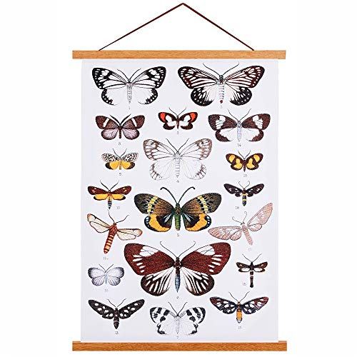 Ywlake A4 Posterleiste Posterleisten Posterschiene, Magnet Magnetische Holz Poster Aufhänger Halter Rahmen Leisten Bild Bilder Bilderleiste Bilderrahmen 21x30 20x30 20x45(21cm, Teak)