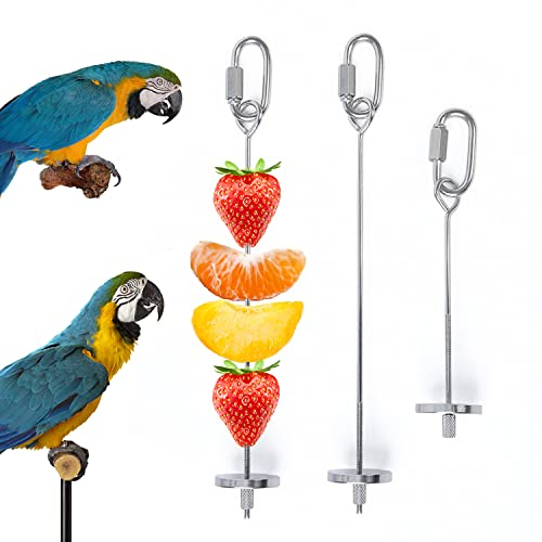 iTGOOS 2Pcs Parrot Skewer Feeder,Stainless Steel Parrot Fruit Stick Holder,Bird Food Holder,Birds Foraging Toy for Parrots Cockatoo Cockatiel Cage