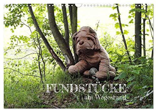 FUNDSTÜCKE am Wegesrand (Wandkalender 2026 DIN A3 quer), CALVENDO Monatskalender: SKURRILES, ALTES oder WITZIGES am Wegesrand ... (CALVENDO Spass)