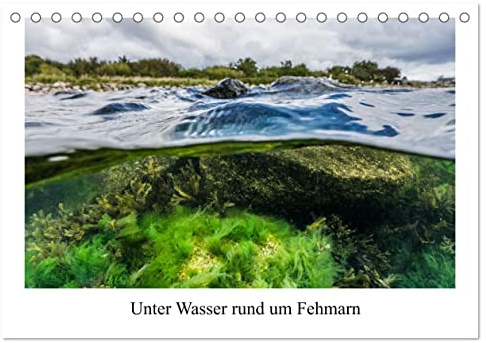 Unter Wasser rund um Fehmarn (Tischkalender 2026 DIN A5 quer), CALVENDO Monatskalender: Kalender mit 13 Bilder der Unterwasserwelt in der Ostsee rund um Fehmarn. (CALVENDO Natur)