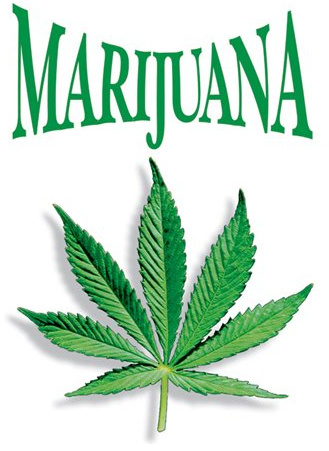 Poster - Marijuana [Size 61 cm x 91,5 cm]