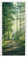 MuchoWow© Türtapete Selbstklebend Türposter Garten Tür Tapeten Wald - Weg - Sonne - Bäume - Grün - Natur - 90x205 cm
