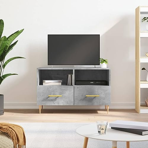 puraday TV-Schrank Wohnzimmer Holzwerkstoff 80x36x50 cm Betongrau Schlafzimmer Stereoschrank 2 Fächer und 2 Schubladen Fernsehschrank Viel Stauraum TV-Regal TV-Möbel