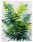 Liorosa Verdant Whispers Jigsaw Puzzles For Adults 500 Pieces, Lush Fern Fronds In Watercolor Mist,Pieces Fit Together Perfectly,Complete With Family And Friends,Gift For Plants Lovers