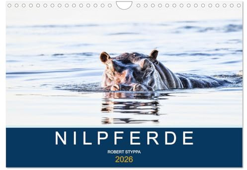 Nilpferde, Kolosse in Afrika (Wandkalender 2026 DIN A4 quer), CALVENDO Monatskalender: Atemberaubende Aufnahmen afrikanischer Flusspferde (CALVENDO Tiere)
