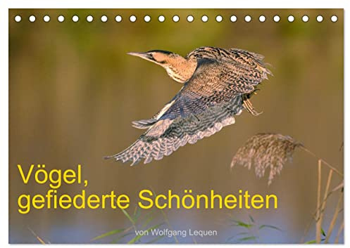 Vögel, Gefiederte Schönheiten (Tischkalender 2026 DIN A5 quer), CALVENDO Monatskalender: Einmalige Bilder von zum Teil seltenen Arten. (CALVENDO Tiere)