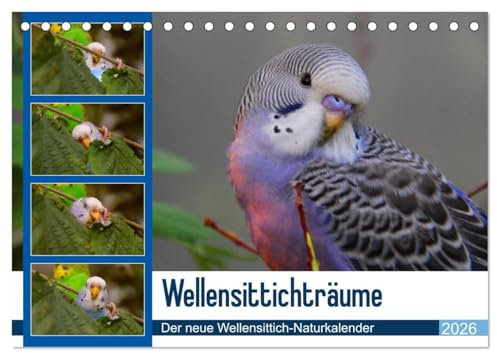 Wellensittichträume - Der neue Wellensittich-Naturkalender (Tischkalender 2026 DIN A5 quer), CALVENDO Monatskalender: Ein wahrer Blickfang: ... Björn Bergmann (CALVENDO Tiere)