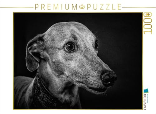 CALVENDO Puzzle Windhund | 1000 Teile Lege-Größe 64 x 48 cm Foto-Puzzle für glückliche Stunden