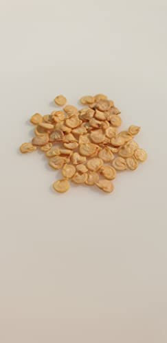 25 graines à semer - Le Grenier d'Abondance - POIVRON Jaune California - Capsicum annuum