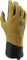 Fox Defend Pro Fire Glove Caramel