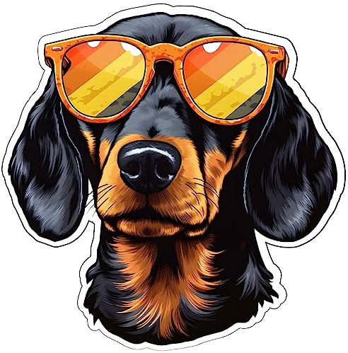 Samunshi Dackel mit Sonnenbrille Aufkleber Autoaufkleber für Motorrad Fahrrad Roller oder Auto Sticker Fahrrad MTB Mountainbike Rennrad Hund Dog (39x40cm Dackel mit Sonnenbrille)