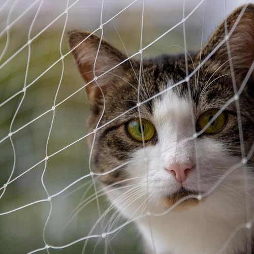 Katzennetz I 8x3m I Nylon I Inklusive Montagematerial I Katzennetz Für Balkon | Katzenschutz Fenster I Katzen Balkonnetz I Ideal Für Uneingeschränkte Sicht(2x1.5M)
