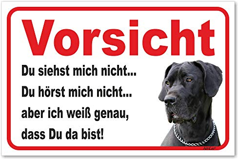 AdriLeo Schild - Vorsicht Deutsche Dogge - Du siehst mich nicht - (20x30cm) / Graues Fell Achtung Hund Wachhund deutscher Hund robust langlebig UV-beständig wetterfestes Warnschild