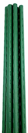 GardenSkill Garden Plant Stakes - Plastic-Coated Metal Plant Supports for Vegetables Flowers Fruit (11mm dia x 1.8m, Pack 10)