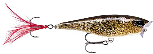 Rapala - Skitter Pop Angelköder - Angelzubehör mit Balsaholz - Süßwasser Spinnköder - Lauftiefe Topwater - Fischköder 5cm, 6g - Hergestellt in Estland - Live Field
