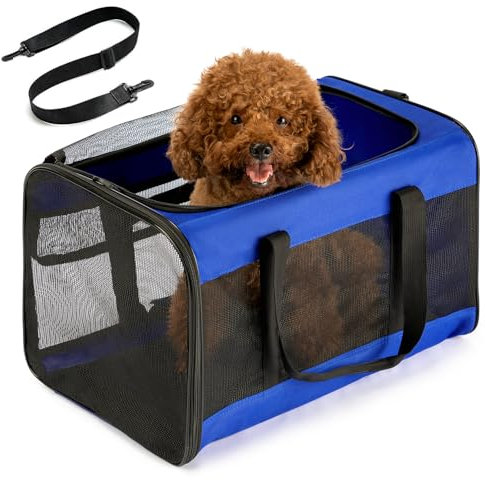 Conlun Hundetransporttasche – Weichwandige Tragetasche mit 4-Seitigem Mesh für Kleine Hunde & Große Katzen bis 9kg, Klappbare Reisetasche mit Atmungsaktivem Design in Größe L-Blau