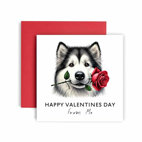 Huxters Valentines Card from the Dog – Alaskan Malamute - Happy Valentines to Dog Mum and Dog Dad – Dog Best Friend (Alaskan Malamute)