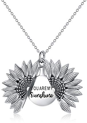 VONALA Sonnenblume Halskette für Frauen Sie sind mein Sonnenschein gravierte Medaillon 925 Sterling Silber Halskette (Weißgold überzogen)