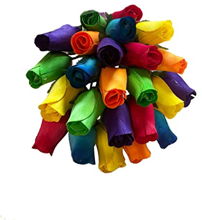 Homestreet Everlasting Blumenstrauß, 2 Dutzend Holzrosen in einer Auswahl von lebendigen Farben, 24 Rosenknospen in Cello-Instant Floral Geschenk (Regenbogen)