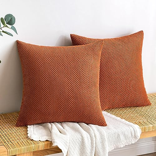 EMEMA Kordsamt Kissenbezug Herbst Dekorative Granulat Sofakissen Dekokissen Kissenbezüge Kissenhülle Couchkissen Überwurf Kissen Bezug Zierkissen für Couch Sofa Wohnzimmer 2er Set 40x40 cm Karamell
