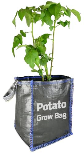sackmaker Outdoor Planter Bag (46L) - For Vegetables, Fruit, Potatoes, Herbs, Plants, Shrubs - Premium Grade - Extra Strong Breathable Fabric & Drainage Holes